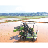 浏阳日报抗疫特别报道③丨万象“耕”新春意浓