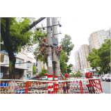 国网浏阳市供电公司:全力备战高考保电,当好“陪考人”