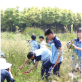 一堂课,从教室搬到田野;一田油菜,从春天学到夏天