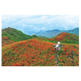 文旅融出新天地，且以诗意共远方