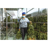 粽有收获