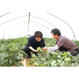 奋斗者正青春丨销售总监放弃高薪回乡当“村官”