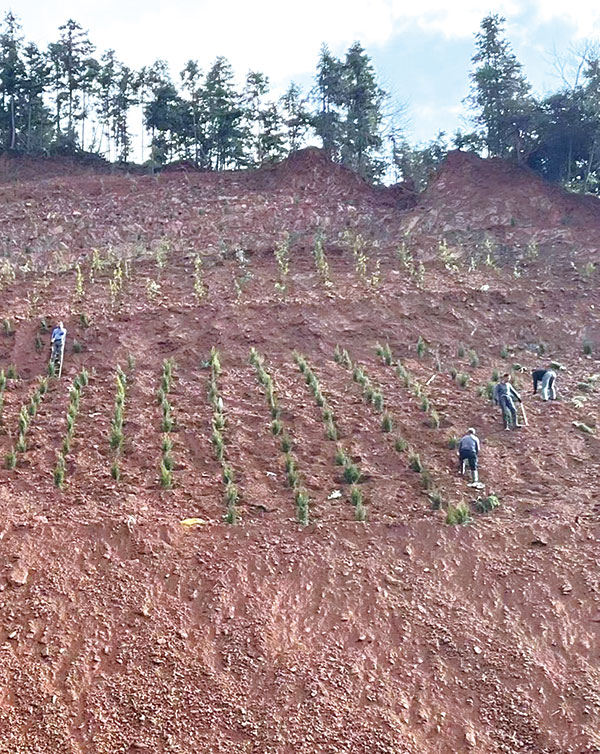 05版时政镇村-2.jpg 05版时政镇村-2.jpg