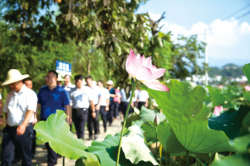 04版时政深度-3.jpg