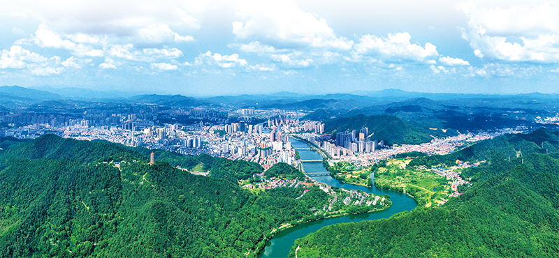 01版封面-1.jpg