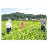 专家田间地头开课，库区移民共享技术大餐