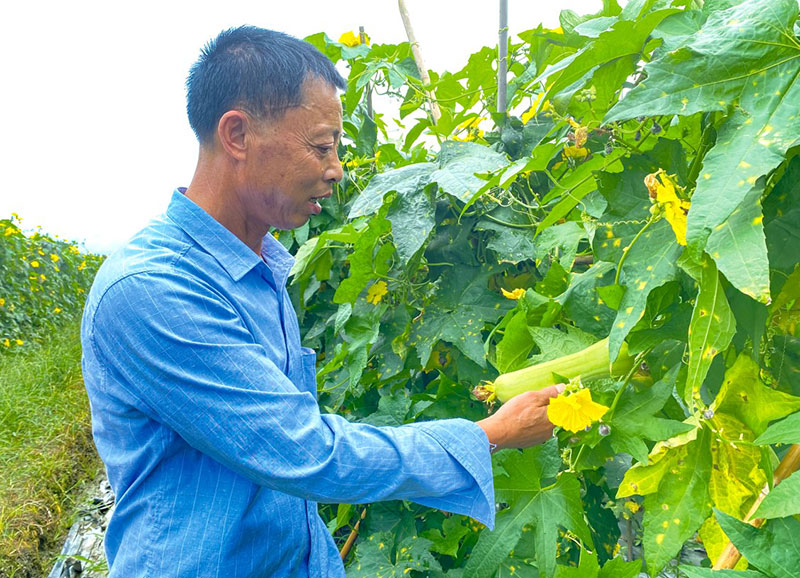 10版民生公益-6.jpg