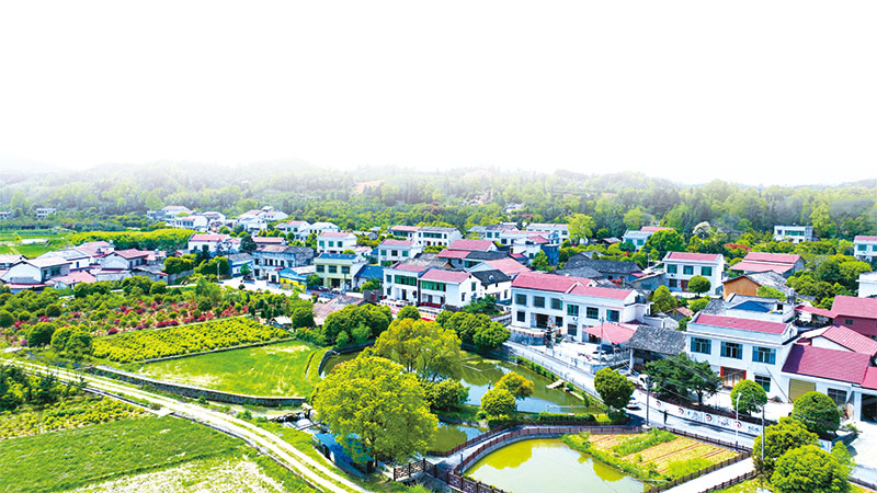 04版深度-1.jpg