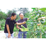 重新站立后，为助残“奔跑”7年
