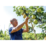 大围山镇：瓜果飘香迎客来