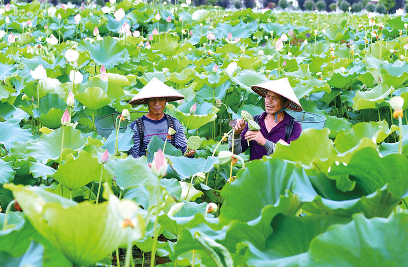 07版民生镜头-3.jpg