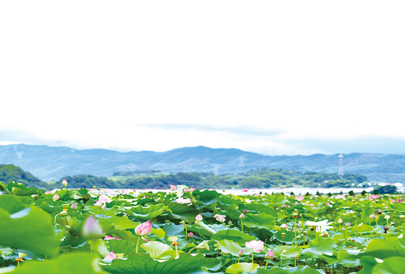 07版民生镜头-1.jpg