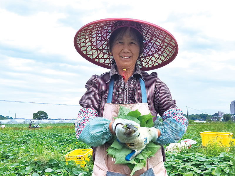 05版镇村-5.jpg