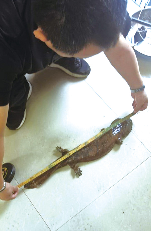 10版现场-4.jpg