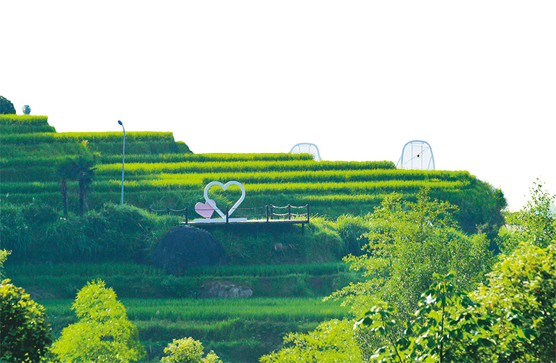 08版旅游-5.jpg