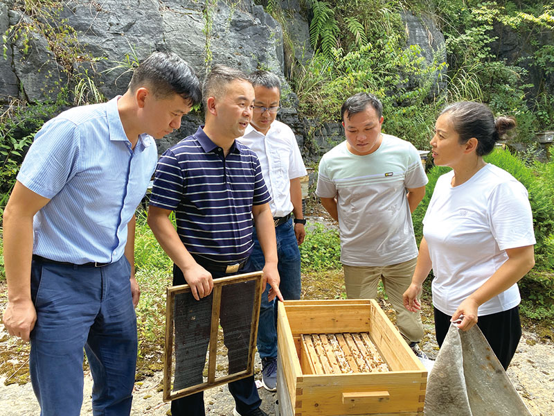 伍国强（左二）正在对养蜂户进行技术指导。