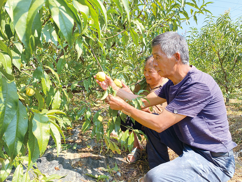 07版民生会客-1.jpg