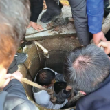 男童意外坠入废弃水井，辅警及时施救成功脱险