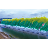 天空绘就“禾下乘凉”梦