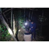 八旬老人寻狗失联，50余人接力搜山14小时找回
