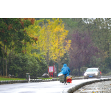 冷雨来袭