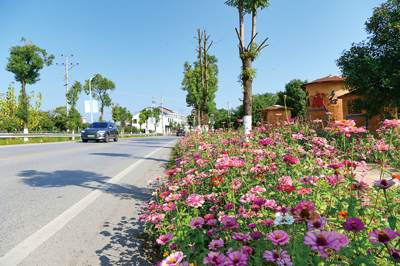 03版公路局-1.jpg