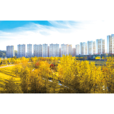 街头秋景美如画