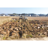 烟田冬翻备耕忙