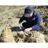 山中奇石引来地质专家，确认系远古海洋生物化石