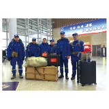 浏阳小伙火线增援土耳其