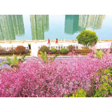 不负春光