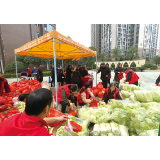 10万斤爱心白菜已全部送出