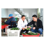 我的青春在浏乡丨海关公务员辞职回乡创业，“粽子村”里种出三百亩箬叶基地