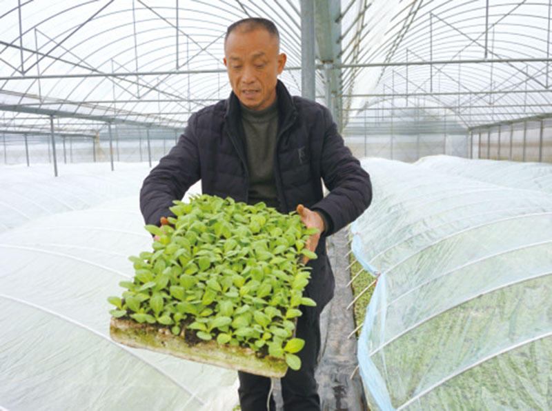 03版烟草局-1.jpg
