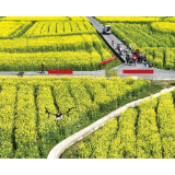 “飞行医生”巡诊，实现农药减量增效