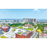 二十大光辉照耀在浏阳河上丨医教住行全面升级，活力新城加速蝶变