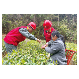 “电雷锋”送服务进茶园