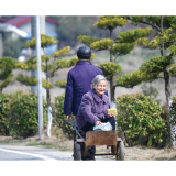 架子车上的风景