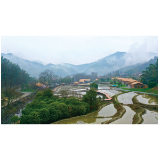 打造高端化乡村民宿业态 推进乡村文旅开发