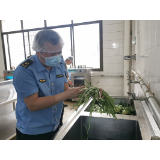 护航高考，保障“舌尖上的安全”