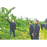 大围山镇组织果农开展春季观摩座谈交流活动
