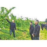 大围山镇组织果农开展春季观摩座谈交流活动