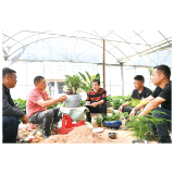 二十大光辉照耀在浏阳河上丨柏加镇柏铃村党总支：盘活资源促增收，高质量党建引领乡村全面振兴
