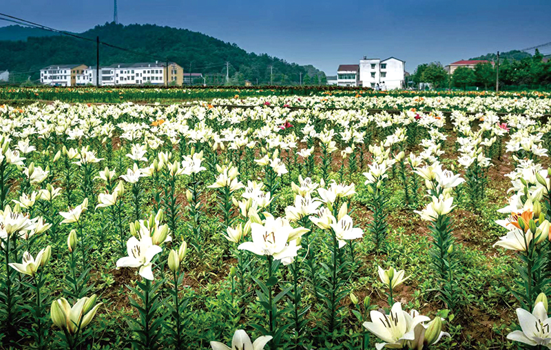 04版民生资讯-1.jpg