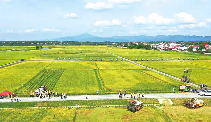 03版中报-3.jpg