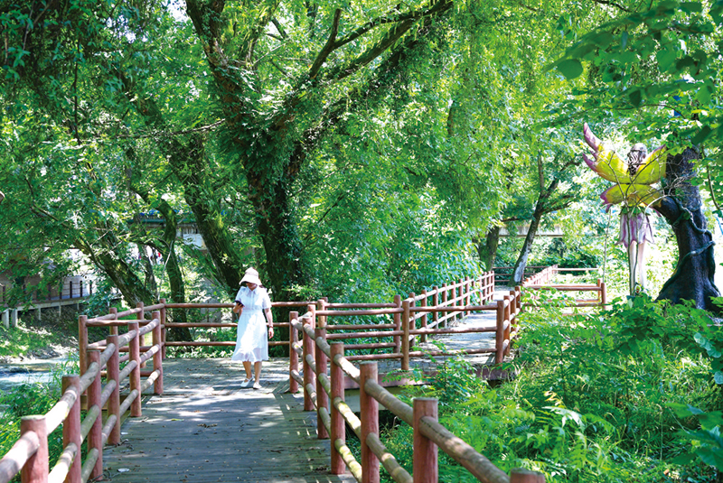 08版乡村振兴-7.jpg