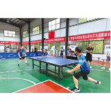 双胞胎兄妹上场“乒”出第一名