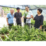 “不是我养花，是花养了我”