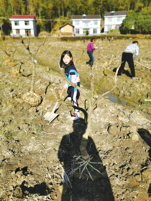 05版镇村-4.jpg