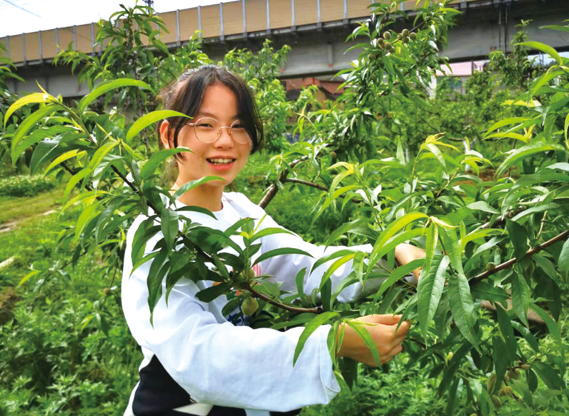 05版镇村-1.jpg
